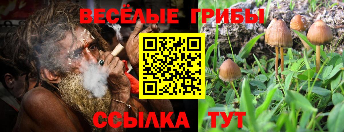 Галлюциногенные грибы GOLDEN TEACHER Ленинск-Кузнецкий